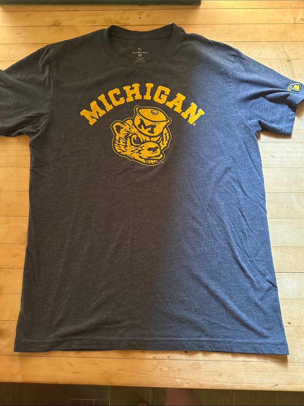 Mitten State Michigan Vintage-Style Crewneck Tee - Navy & Yellow